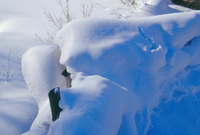 冬雪 摄影 黄土地