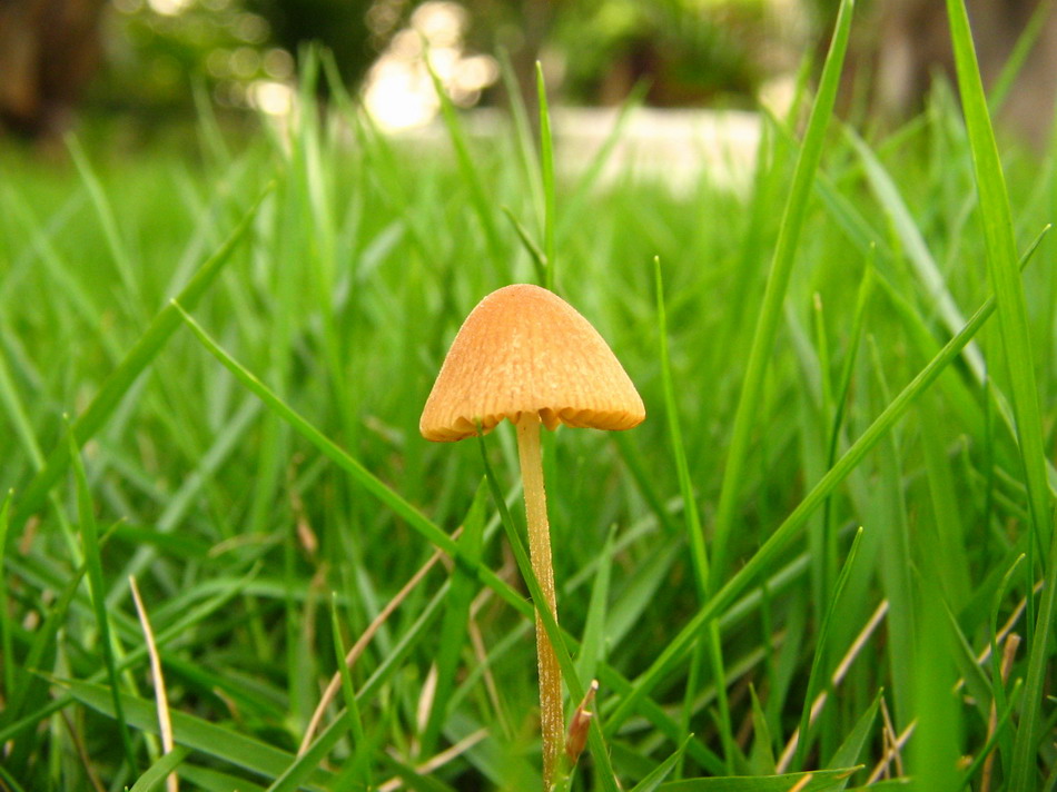 雨后 摄影 失落的椎间盘