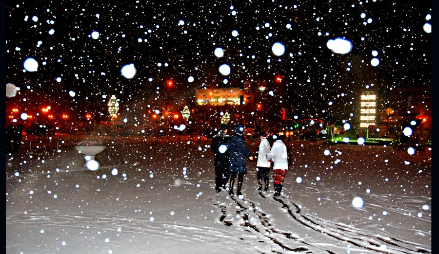 今夜雪花美 摄影 海老法