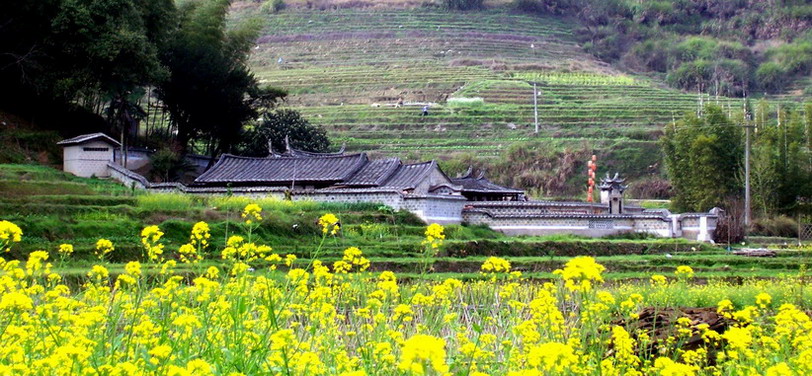 花簇翠园 摄影 燕江蓝