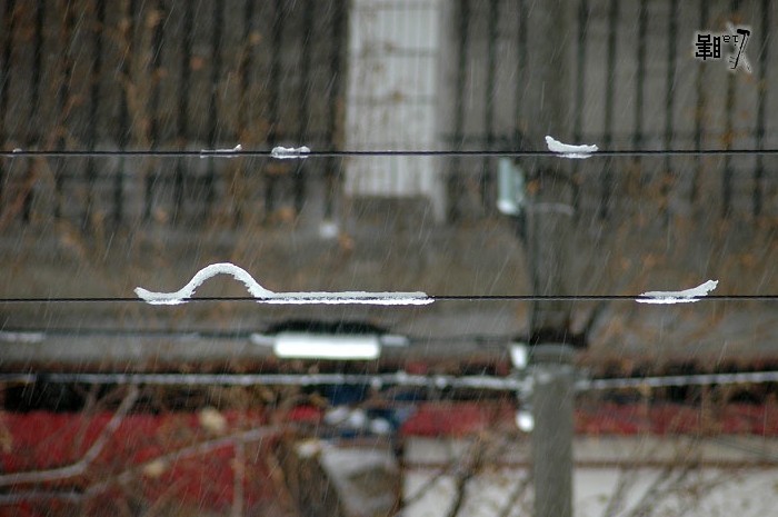 春雪爬行中 摄影 瞎子