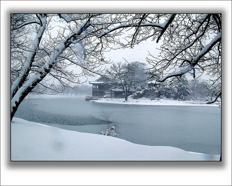 雪韵 摄影 寻找素洁