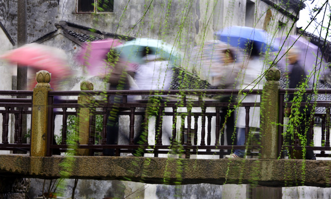 春雨 摄影 澍欣