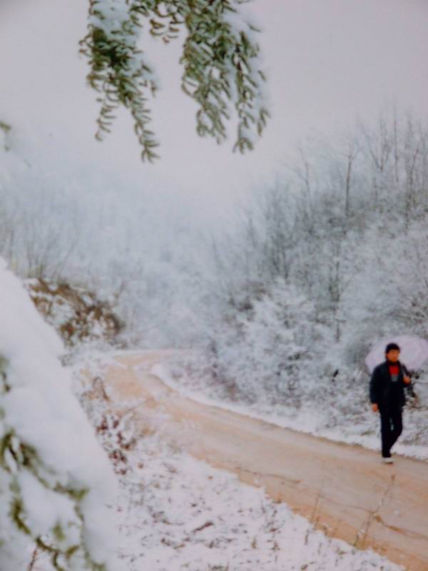 春雪行 摄影 评论家