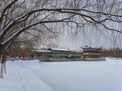 雪景 摄影 思灵山人