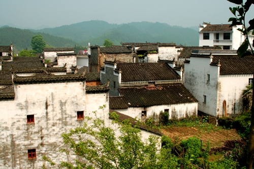 长滩村 摄影 菠萝爸