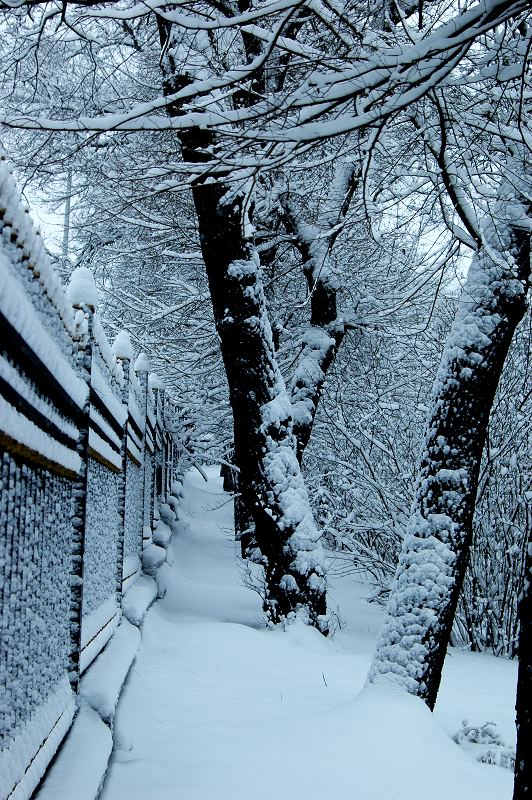 山城雪挂 摄影 思冰