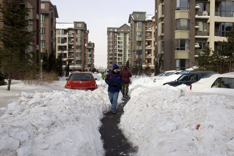 大雪后沈阳一居民园区 摄影 yzpd