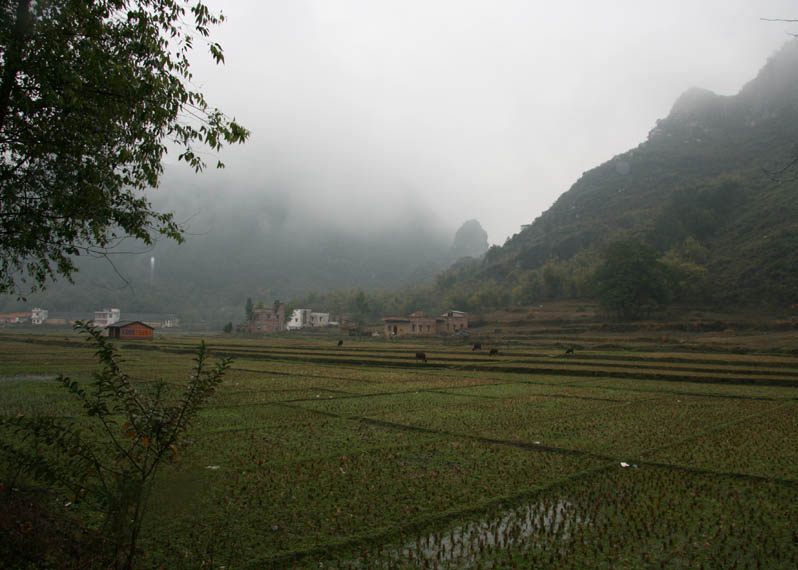 江南烟雨（3） 摄影 山人行