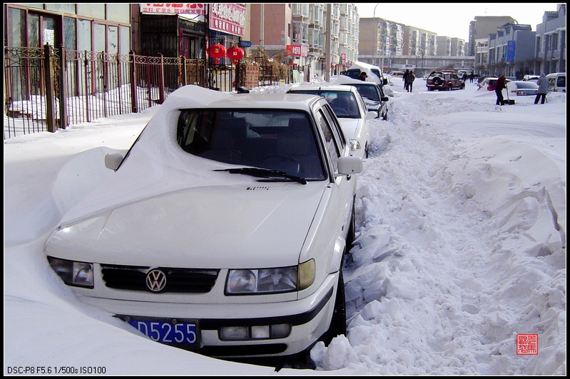 沈阳遭遇暴风雪2 摄影 走马观花