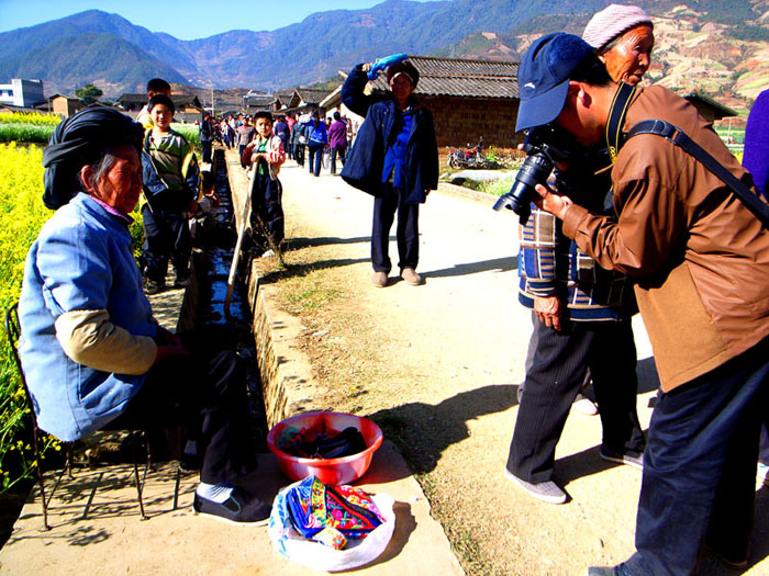 草坝场上抢镜头 摄影 荞巴