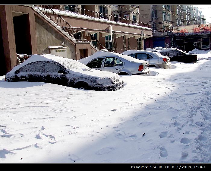 鞍山突降的暴雪 摄影 千锤百炼