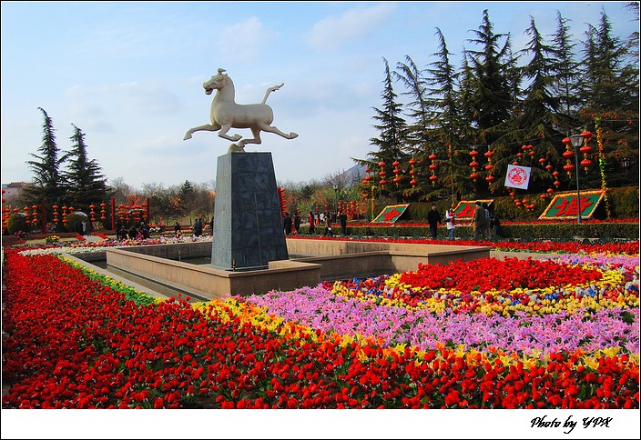 春节人造花园 摄影 引擎