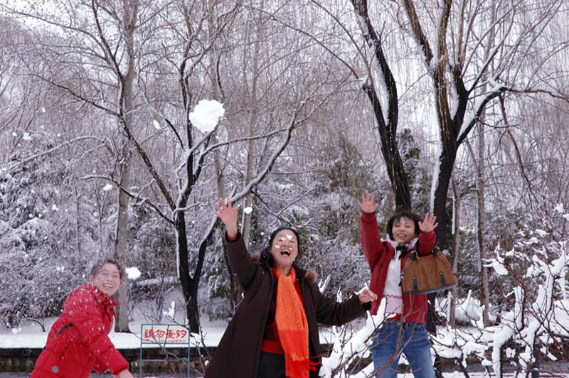 雪中乐 摄影 张超