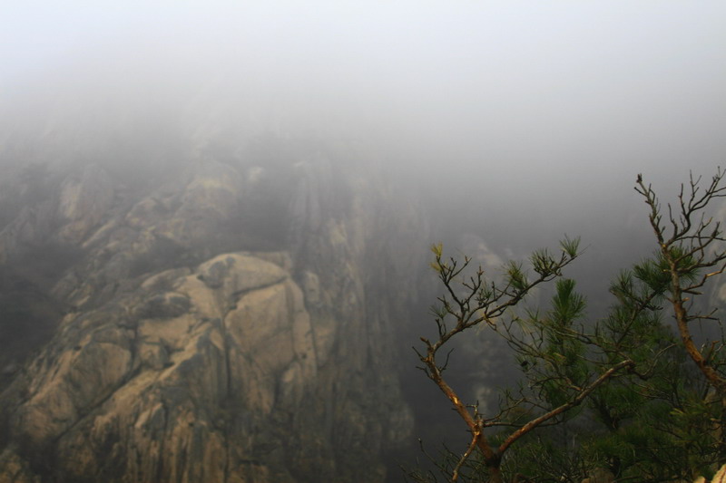 雾锁蒙山 摄影 高中军