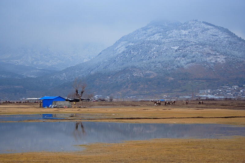 拉什海湖畔 摄影 冰雪温泉