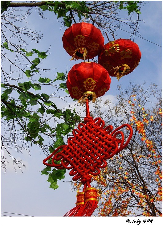 串串中国红 摄影 引擎