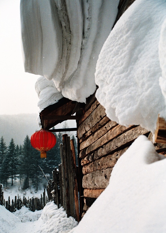 瑞雪丰年 摄影 思冰