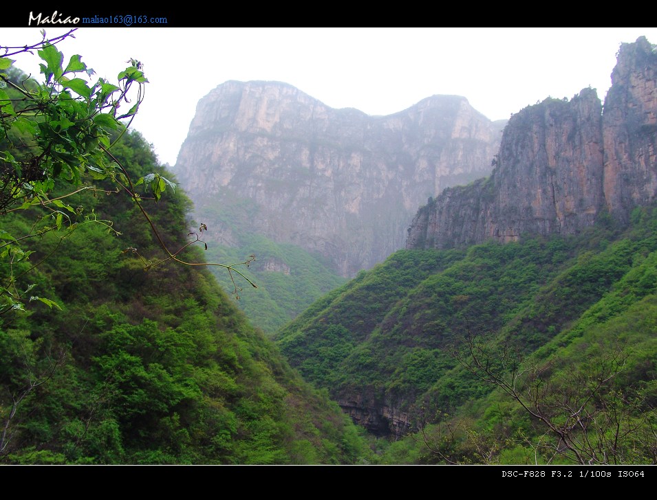 102.云台山·峡谷春正浓 摄影 马里奥MALIAO