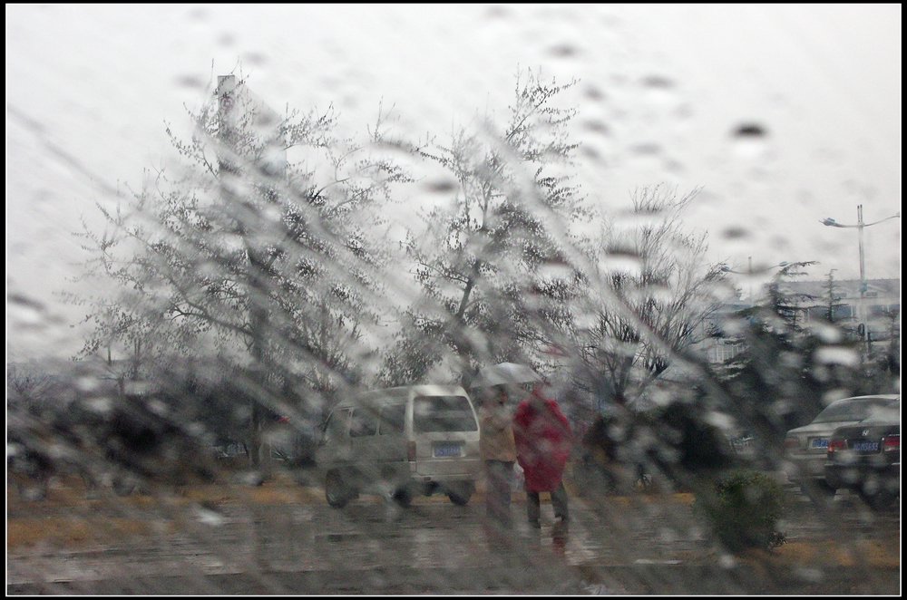 在雨中 摄影 胖胖牛哥