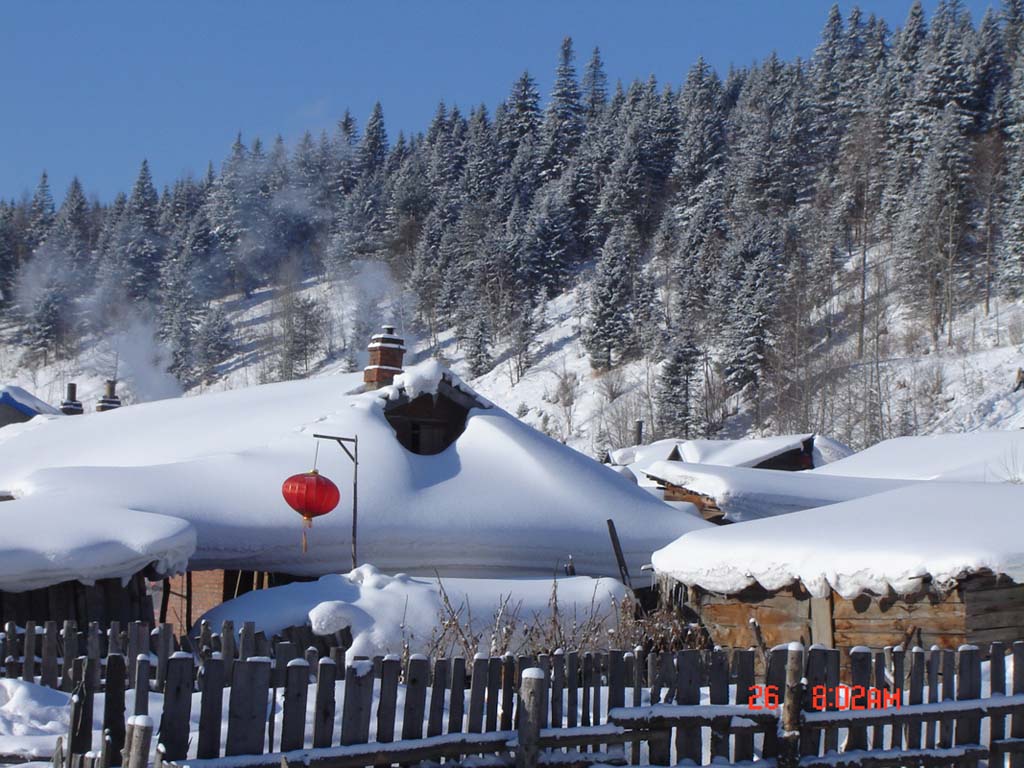 家乡的雪 摄影 小爪冰冰凉凉