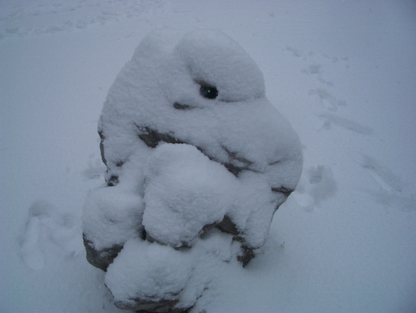 三月雪（３）  雪石 摄影 与月同辉