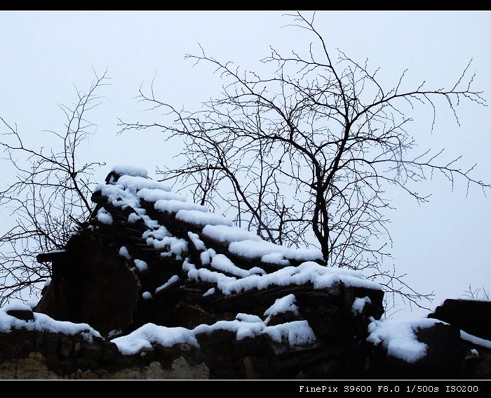 春雪。残恒 摄影 北京大李