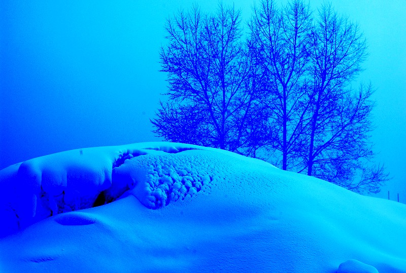 雪野 摄影 思冰