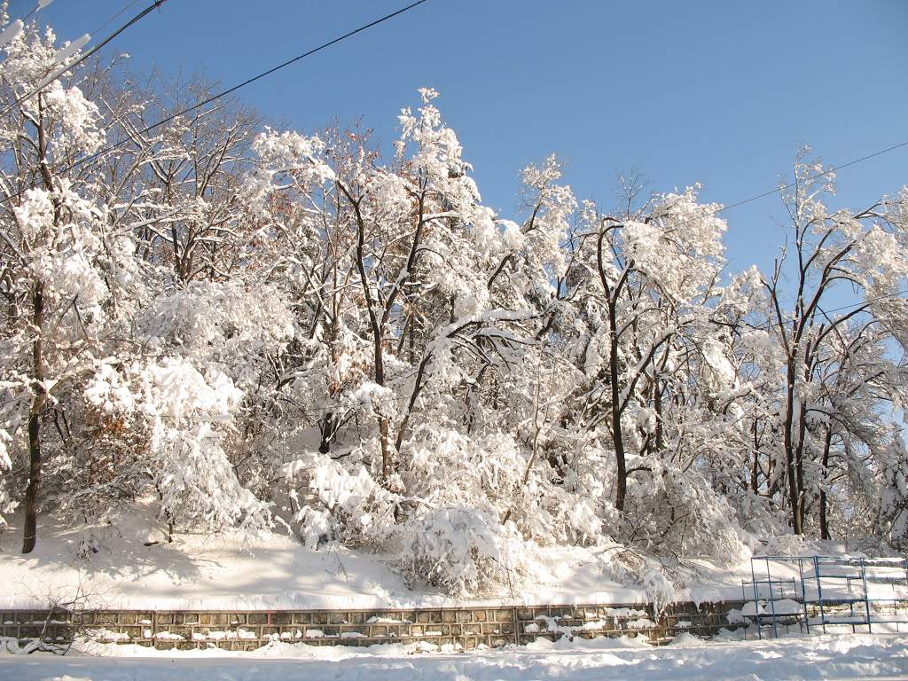 通化玉皇山 雪景 摄影 雪中飞