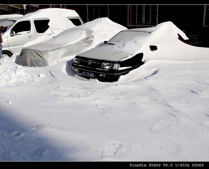 鞍山突降的暴雪 摄影 千锤百炼