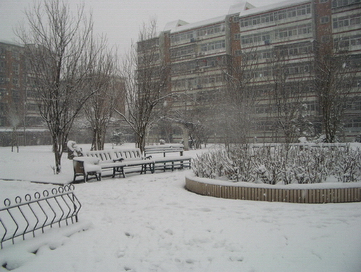 三月雪（４） 正月十五雪打灯 摄影 与月同辉