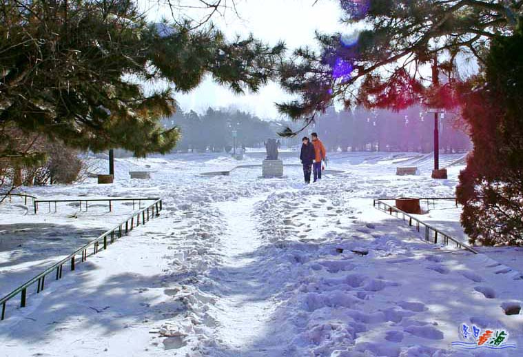 雪后······ 摄影 冬日看海