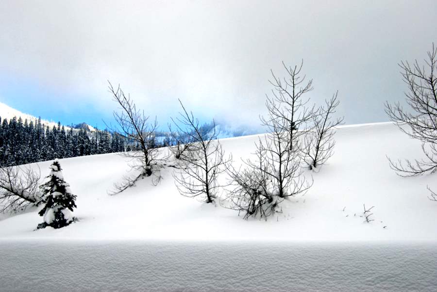 冬云压雪 摄影 gemen