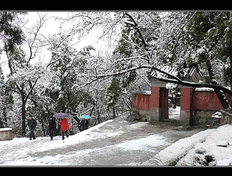 西山瑞雪 摄影 与世无争