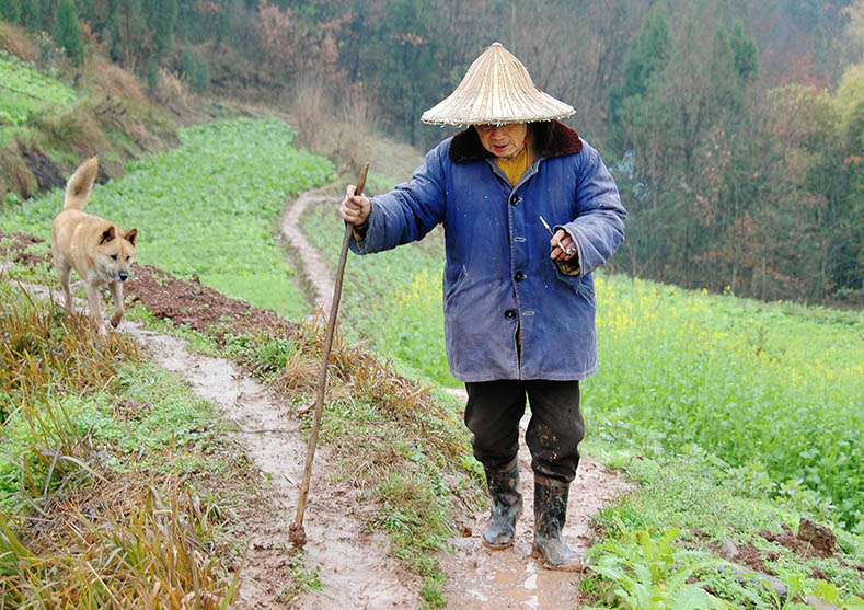 行路难 摄影 摄欲