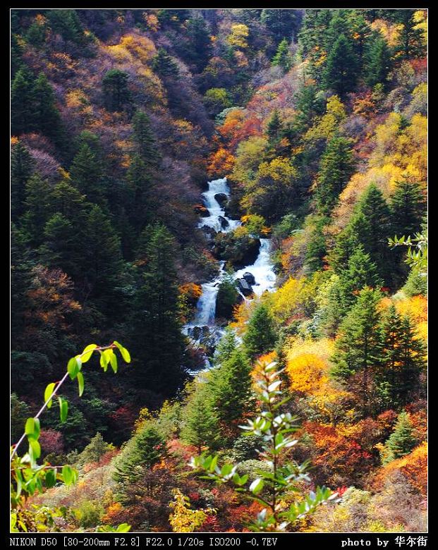 川西  木格措  溪流 摄影 华尔街