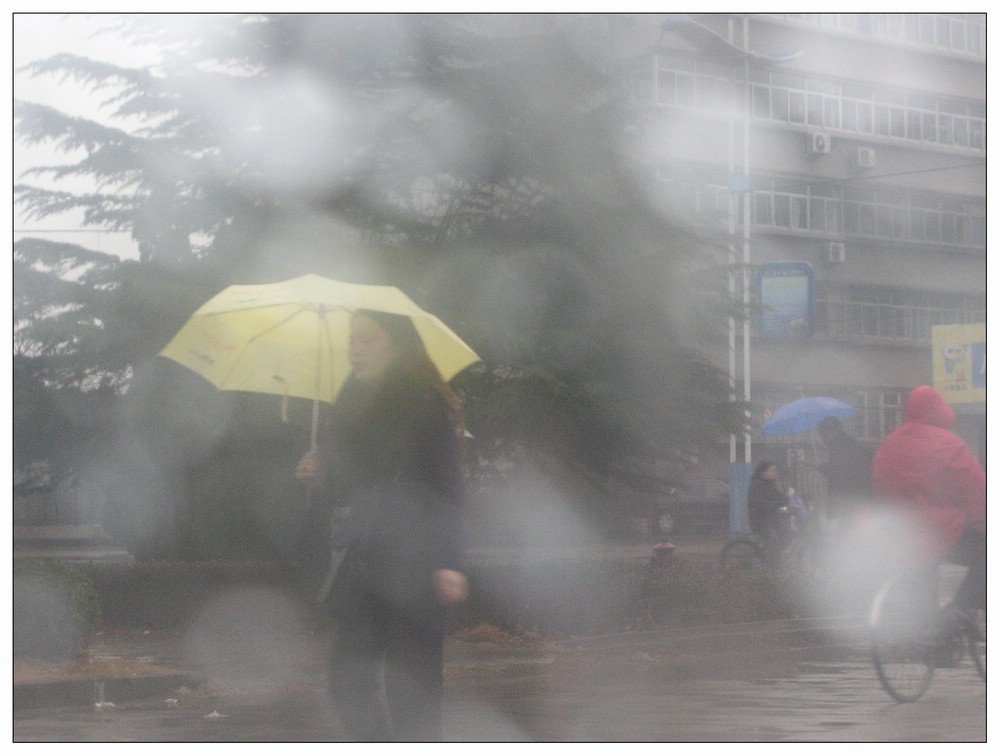 雨中行 摄影 胖胖牛哥