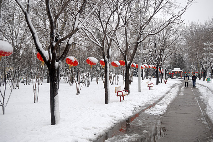 正月十五的大雪（5） 摄影 大白兔子