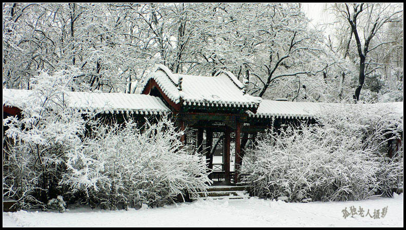 雪 摄影 孤独老人