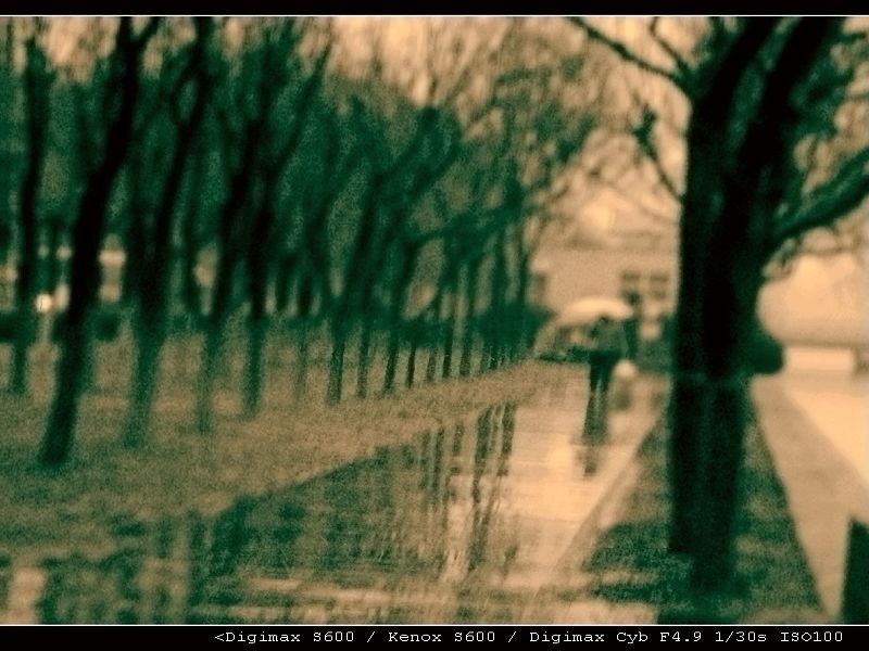 雨行 摄影 天会晴