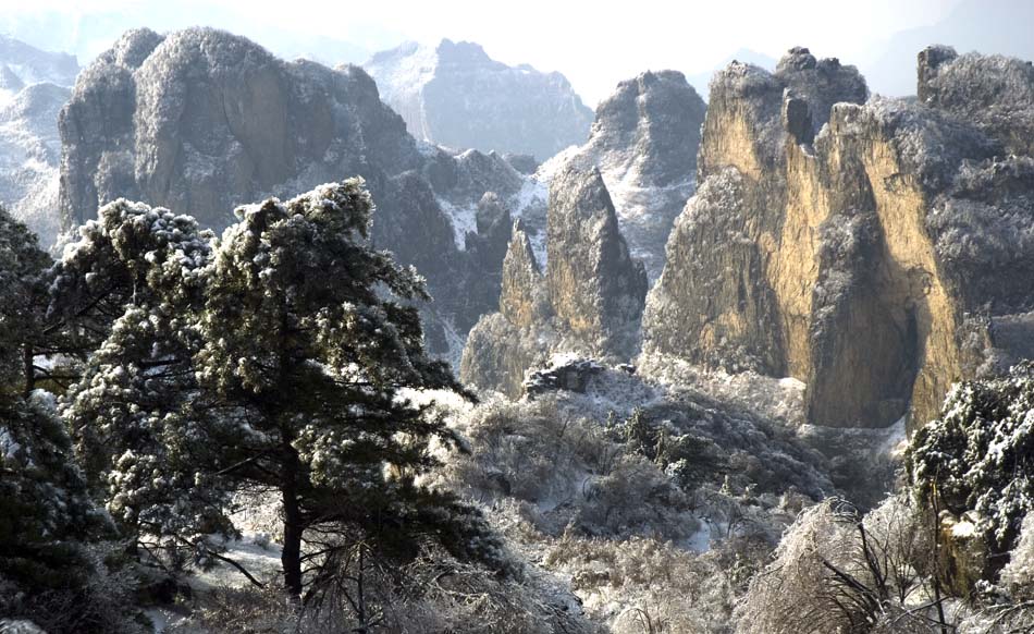 青松奇峰 摄影 乐山郎