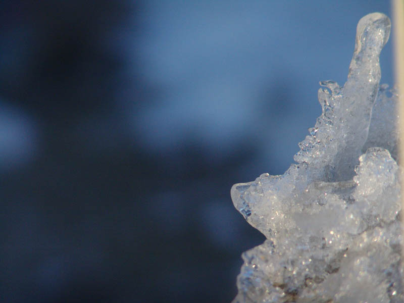 窗台上的积雪 摄影 初学影人