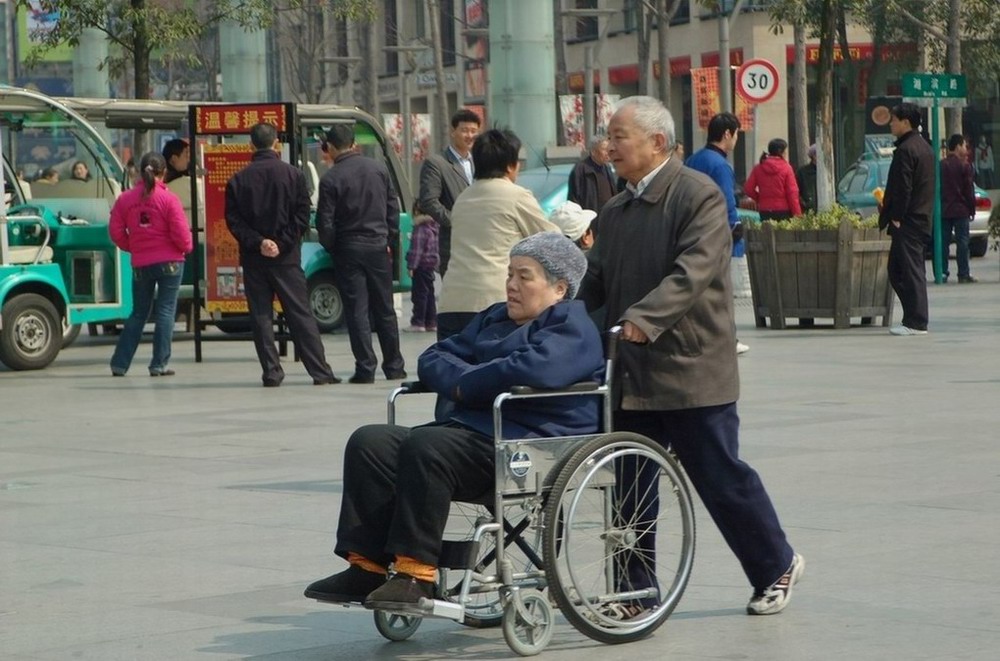 白头偕老 摄影 记录我的发现