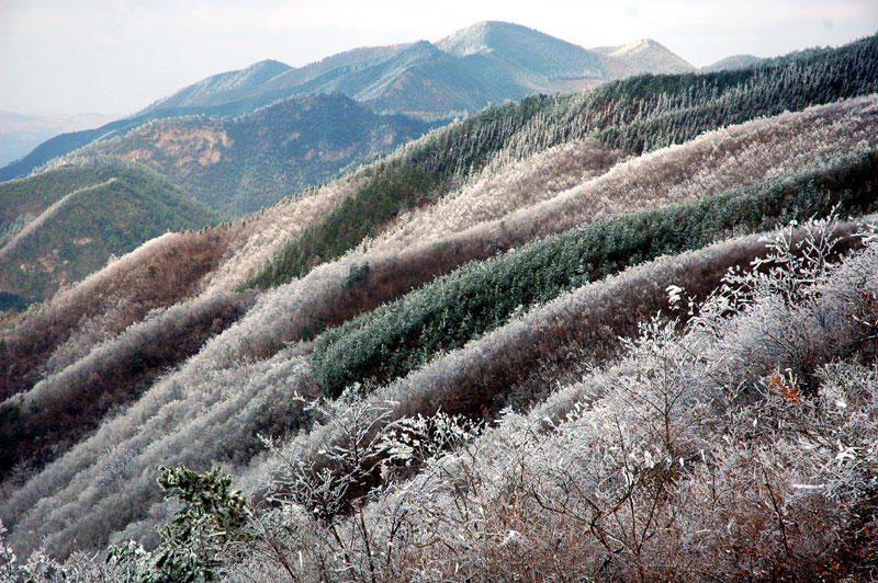 <彩色冬山> 摄影 Robbin