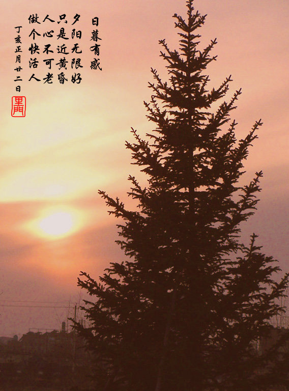 夕阳无限好 摄影 sunnysnow