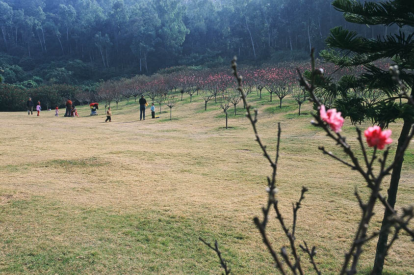 江南烟雨（6） 摄影 山人行