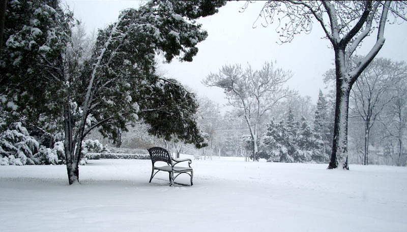 水上雪景 摄影 秋水如歌