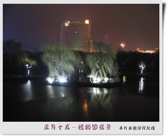 济南植物园夜景 摄影 春流漱玉