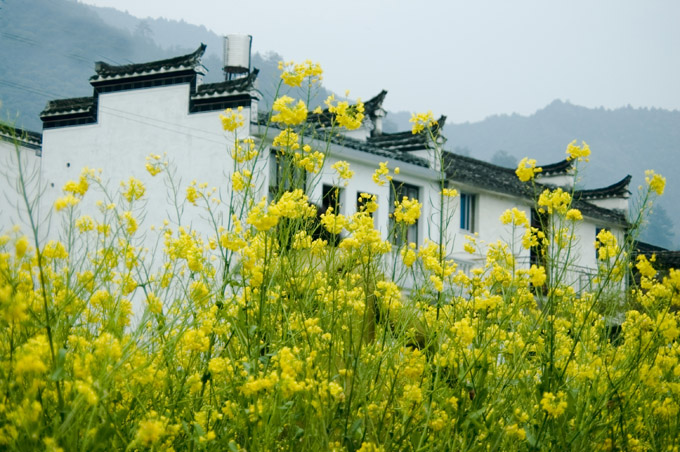 婺源风景 摄影 雅里里