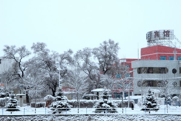 雪景 摄影 逛原野